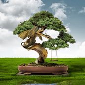 Mi Proyecto del curso: Secretos del fotomontaje y el retoque creativo. Un proyecto de Retoque fotográfico de Pablo Andrés | Dragonartes - 13.08.2019