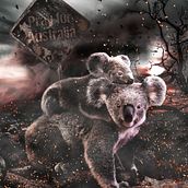 Mi Proyecto del curso: Secretos del fotomontaje y el retoque creativo. Graphic Design project by xavier_olle - 01.14.2020