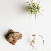 Mi Proyecto del curso: Fotografía profesional para Instagram. Product Photograph project by Gemma Fernández - 08.12.2019