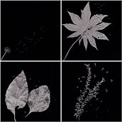 STAGIONE: AUTUNNO. Un progetto di Fotografia artistica di Fer López - 31.12.2019
