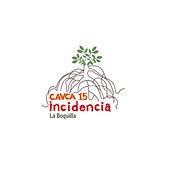 CAVCA 15 INCIDENCIA . Br, ing, Identit, Logo Design, and Graphic Design project by Roll Conceptual - 02.06.2015