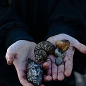 Cramond. Un projet de Photographie de Cristina Fernández Márquez - 30.08.2019