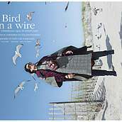 BIRD ON A WIRE (MARIE CLAIRE). Photograph, and Fashion Photograph project by VIRIDIANA - 08.31.2019