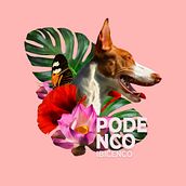 Mi Proyecto del curso: Estampado textil con técnicas digitales podenco. Un proyecto de Collage de Ricardo Quintana Checa - 31.08.2019