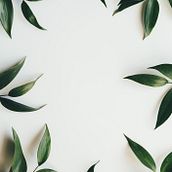 Mi Proyecto del curso: Principios fundamentales de UX. Un proyecto de Decoración de interiores de torresfloana - 01.09.2019