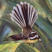 NZ Birds. Un progetto di Illustrazione tradizionale e Illustrazione digitale di Érika Casab - 03.09.2019