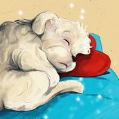 Sleeping beauty  Ein Projekt aus dem Bereich Bildende Künste, Kreativität und Traditionelle Illustration von Laura Bayo - 03.09.2019