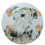 RETRATOS DE ANIMALES . Un projet de de Marina Beltrán Corbí - 18.01.2018
