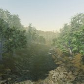 Unity Forest. 3D, 3D Animation, Game Design, and Video Games project by Andrea Conde - 09.06.2019