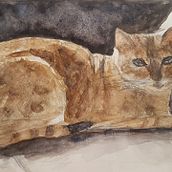 My project in Watercolour Experimental Techniques for Beginners course . Pictură în acuarelă de Barbara Sundling - 10.27.2019