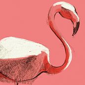 Naturaleza de color // Ilustración. Proyecto personal. Pencil Drawing, Art Direction, Traditional illustration, and Digital Illustration project by Beatriz Arribas de Frutos - 09.12.2019