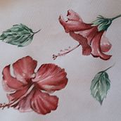 Mi Proyecto del curso: Ilustración botánica con acuarela. Traditional illustration project by Loles Macau - 09.15.2019
