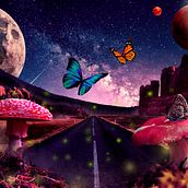 The magic road. . % Leticia Sánchez Ferrezuelo tarafından hazırlanan Fotoğraf Rötuşlama projesi - 09.18.2019