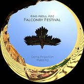 King Abdul Aziz Falconry Festival. 3D Animation project by Framemov - 09.18.2019