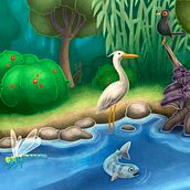 Biodiversitat i entorn del riu Ter. Un proyecto de Ilustración tradicional, Ilustración digital e Ilustración infantil de Jacob C - 15.01.2019