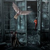 Mi Proyecto del curso: Secretos del fotomontaje y el retoque creativo: Aquí vamos con el proyecto final, a ver que les parece. Saludos.. Digital Photograph project by mb3estudio - 09.19.2019