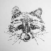UNIT 3 - Racoon. Pencil Drawing project by Lena Lanak - 09.20.2019