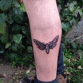 Polilla con ganas de volar . Tattoo Design project by josefinalejandrarh - 09.22.2019