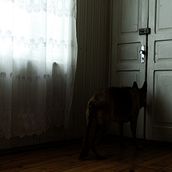 Soledades. Projekt z dziedziny Fotografia, Fotografia art, st, czna i Fotografia portretowa użytkownika Elene Batsanadze - 23.09.2019