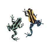 Vector Illustrations. Projekt z dziedziny Trad, c i jna ilustracja użytkownika Andriele Cristina - 24.09.2019