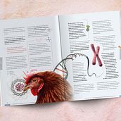 REVISTAS DEL SECTOR AGRÍCOLA. Editorial Design project by Ana Lorena Ríos de la Llave - 10.07.2019