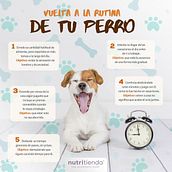 Post para redes sociales. Un progetto di Graphic design di Ainhoa Sánchez Sierra - 09.10.2019