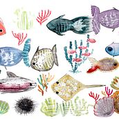 Peixes Ein Projekt aus dem Bereich Traditionelle Illustration von Catarina Vitorino - 10.10.2019