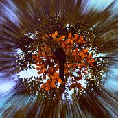 Surealismo NuMen. Fine-Art Photograph, and Digital Photograph project by Jhonatan Quimbayo - 11.05.2016