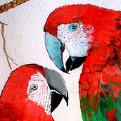 Loros. Acr, and lic Painting project by Lesli Zapata Sánchez - 10.17.2019