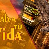 Salva Tu Vida.  project by Adrián Segura Gonzalez - 10.17.2019