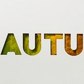 Autumn palette. Un proyecto de Dirección de arte, Fotografía y Lettering de cactusoup - 18.10.2019