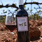 Diseño etiquetado Ein Projekt aus dem Bereich Design und Verpackung von Luis Martín Fernández - 18.05.2019