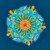 MANDALA MAR. Un proyecto de Ilustración tradicional de Ana Beatriz Reina Rojas - 25.10.2018