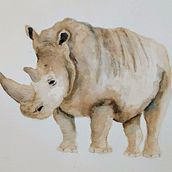 Meu projeto do curso: Técnicas experimentais de aquarela para principiantes . Watercolor Painting project by Nathalia Barreiros - 10.27.2019