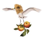 My project in Illustration Techniques to Unlock your Creativity course. Traditional illustration project by Isabella Ferreira - 10.27.2019