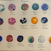 Mi Proyecto del curso: Técnicas modernas de acuarela. Een project van Aquarelschilderen van Katherine Barrero de Freitas - 29.10.2019