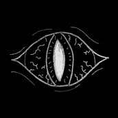 Black Eye Flipbook. Un projet de Animation , et Animation 2D de Pedro Vázquez Santos - 02.10.2018