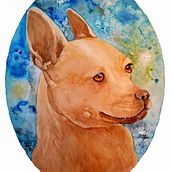 Mi Proyecto del curso: Técnicas modernas de acuarela. Un proyecto de Bellas Artes, Ilustración tradicional, Pintura y Pintura a la acuarela de Diana Sobrado - 11.11.2019