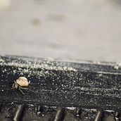 Sámara, Costa Rica 2019 Ein Projekt aus dem Bereich Außenfotografie von Pablo Artavia Madrigal - 13.11.2019