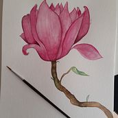 Magnolia. Watercolor Painting project by Romina Vásquez Valdes - 11.21.2019