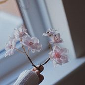 Fotografía en Instagram . Un projet de Photographie, Photographie artistique, Photographie smartphone , et Éclairage photographique de María Ángeles Blanco García - 20.09.2018
