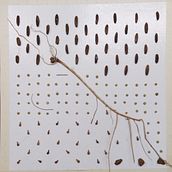 Mi Proyecto del curso: Las leyes de la percepción visual: unidad, peso, equilibrio y movimiento. Artistic Drawing project by Irany Vera - 11.22.2019