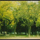 Mi Proyecto del curso: Introducción a la fotografía digital. Un proyecto de Arte urbano de agblanco - 24.12.2019