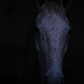 Mi Proyecto del curso: Fotografía de retrato con luz natural. Portrait Photograph project by Leonardo Urraza García - 11.26.2019