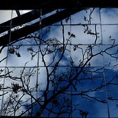 Reflejados (exposición). Photograph, Fine-Art Photograph, Digital Photograph, and Outdoor Photograph project by Natalia Echániz Lehmann - 04.16.2016