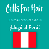 Mi Proyecto del curso: Desarrollo de un plan de medios  para Cells For Hair Perú. Digital Marketing project by josueacuna - 11.27.2019