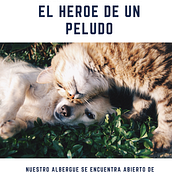 Mi Proyecto del curso: Fotografía profesional para Instagram Ein Projekt aus dem Bereich Social Media von Camila Guerra Espitia - 07.02.2020