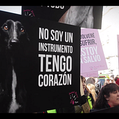 Manifestación #NoALaCaza 3F. Film, Video, and TV project by David Aguilar - 02.04.2019