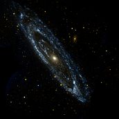 animales y tipos de sombreado Ein Projekt aus dem Bereich Traditionelle Illustration von Toni Tortosa Jiménez - 01.12.2019