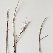 Mi Proyecto del curso: Las leyes de la percepción visual: unidad, peso, equilibrio y movimiento. Photograph, Fine-Art Photograph, and Digital Photograph project by Lorena González López - 12.05.2019